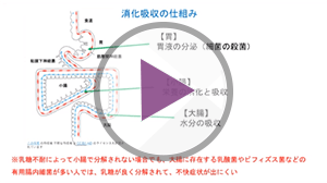 牛乳と栄養の関係はどうなっている?